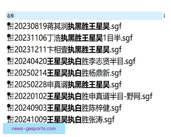 尼斯最新豪华阵容解析与关键球员战术布局揭秘